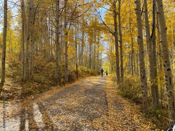 Obraz Riding bikes through autumn leaves aspens