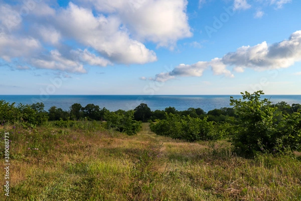 Obraz landscape with sky