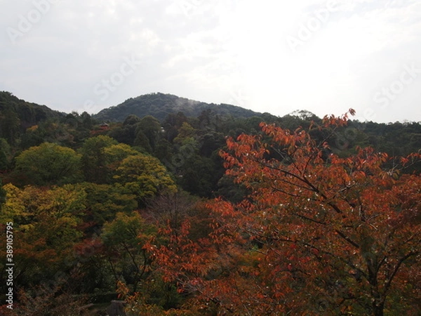 Fototapeta Kyoto at the beginning of the fall foliage season, Autumn leaves, Kiyomizu-dera Temple, Kyoto, Japan