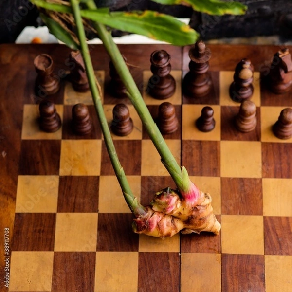 Obraz Ginger on a chessboard