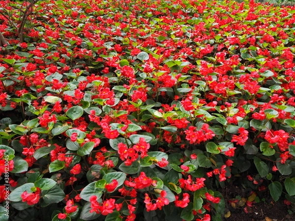 Obraz OLYMPUS DIGITAL CAMERA