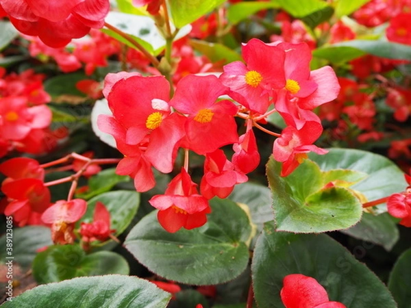 Obraz OLYMPUS DIGITAL CAMERA