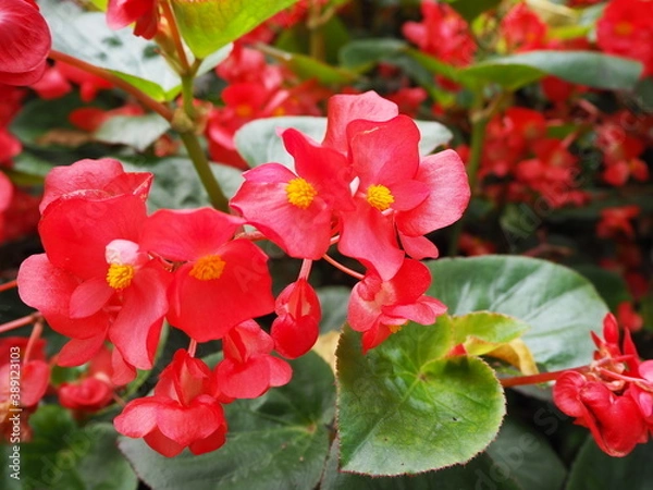 Obraz OLYMPUS DIGITAL CAMERA