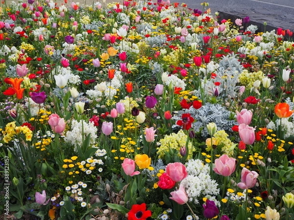 Obraz OLYMPUS DIGITAL CAMERA