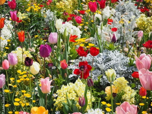 Obraz OLYMPUS DIGITAL CAMERA