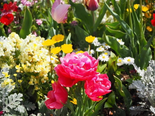 Obraz OLYMPUS DIGITAL CAMERA