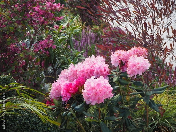 Obraz OLYMPUS DIGITAL CAMERA