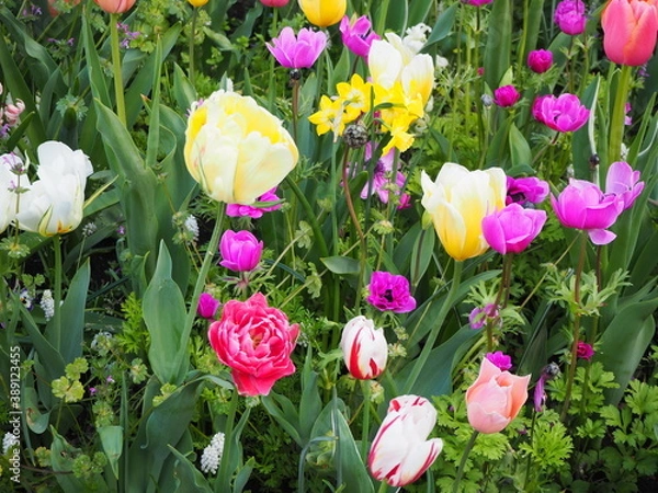 Obraz OLYMPUS DIGITAL CAMERA