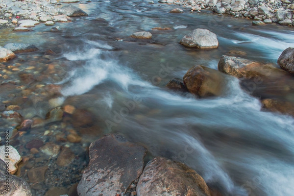 Fototapeta stream in the forest