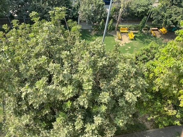 Obraz lawn and garden