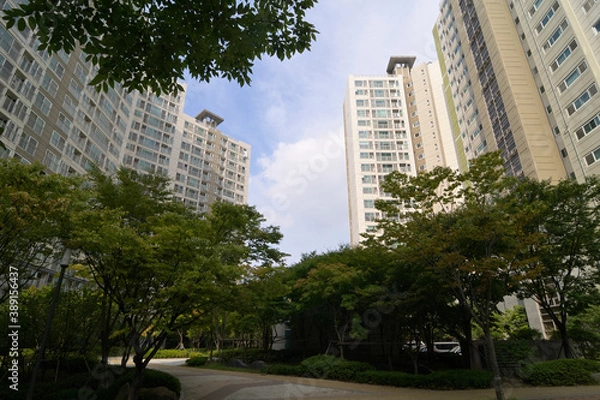 Fototapeta 韓国の新都市：果川（グワチョン・Gwacheon）の街並み