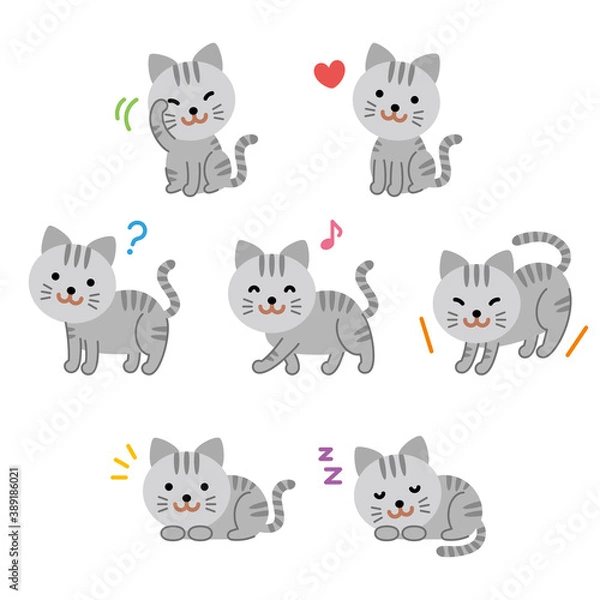 Fototapeta サバトラ猫セット