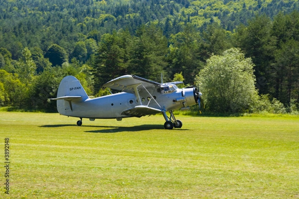Fototapeta Biplane An-2 (Antonov) in the airshow