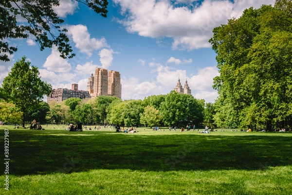 Obraz Beautiful day at Central Park in New York