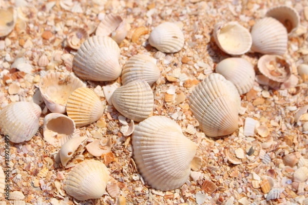 Obraz sea background