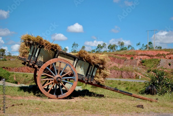 Fototapeta Charrette