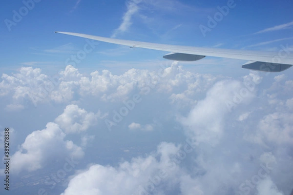 Obraz 飛行機の翼と雲