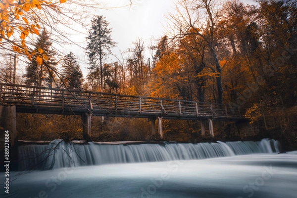 Obraz Lonely bridge in autumn forest