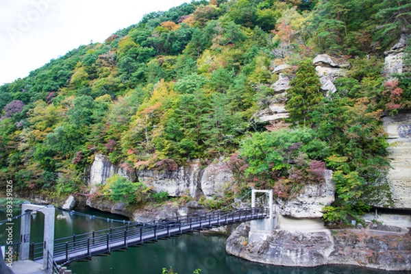 Fototapeta 塔のへつり