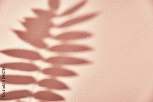 Fototapeta Leaf shadow on pink background. Creative abstract background