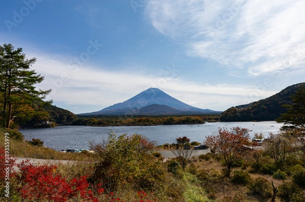 Fototapeta 精進湖と富士山