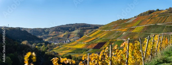 Obraz Hiking in the Ahr valley on a sunny autumn day on the red wine trail