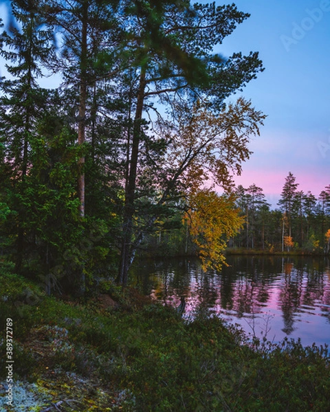 Obraz Autumn in Karelia