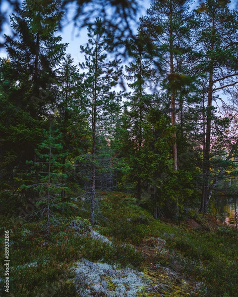 Obraz Autumn in Karelia