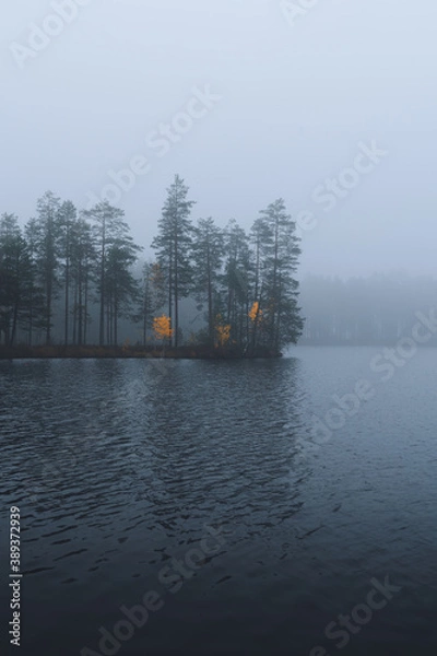 Obraz Autumn in Karelia