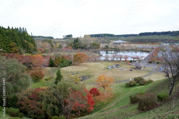Obraz おいらせ　白鳥公園