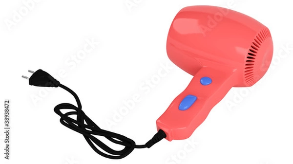 Obraz Red hair dryer