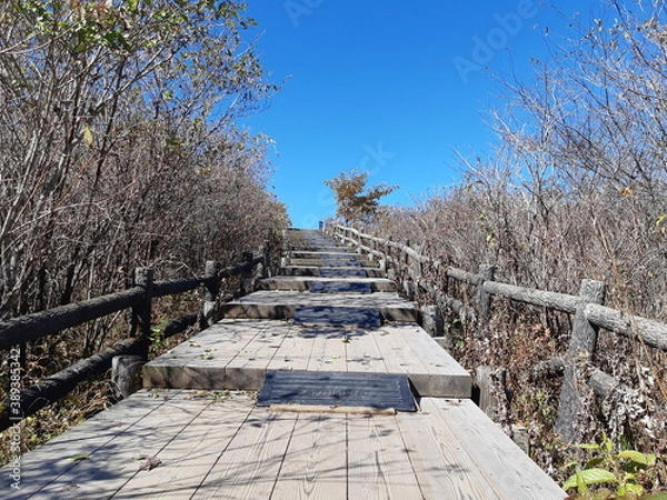 Obraz 歩いた先にあるのは...