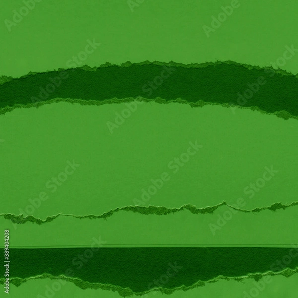 Fototapeta Green torn paper collage close-up. Texture made from various paper and cardboard parts. Damaged old paper background. Vintage blank wallpaper. Material design backdrop.