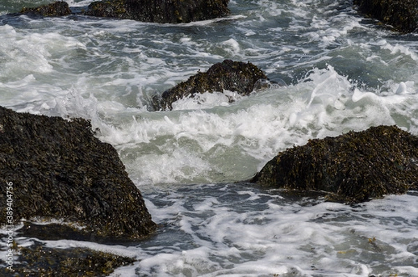 Obraz waves crashing on rocks