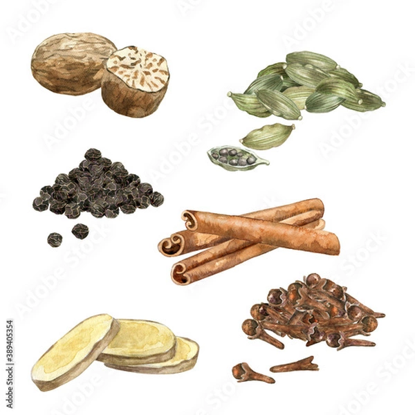 Obraz Watercolor ingredient for masala tea. Aromatic spice for indian chai recipe. Nutmeg, black pepper, ginger, cloves, cinnamon, cardamon on white.