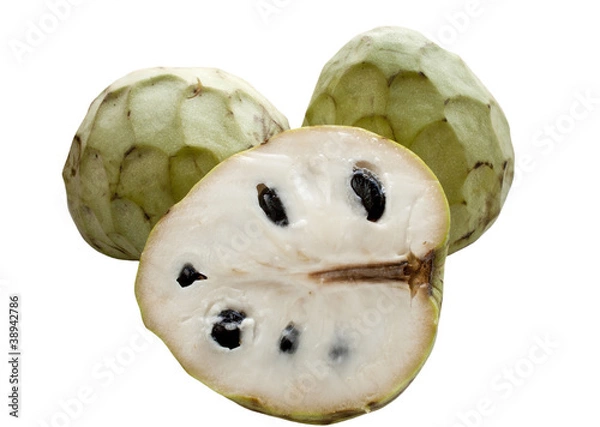Obraz Cherimoya
