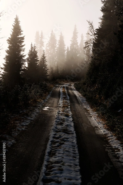 Obraz A road in the wilderness. Sun ray beams casting over the road with fog sets the mood.