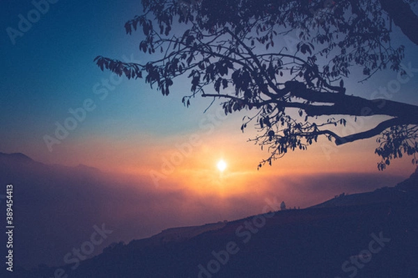 Obraz Un peu de bonheur