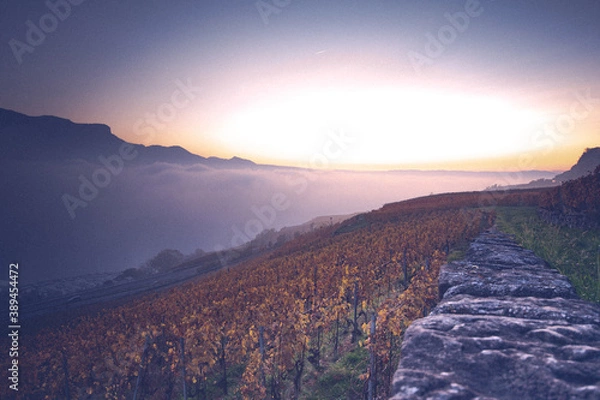 Obraz Lac léman heure dorée.