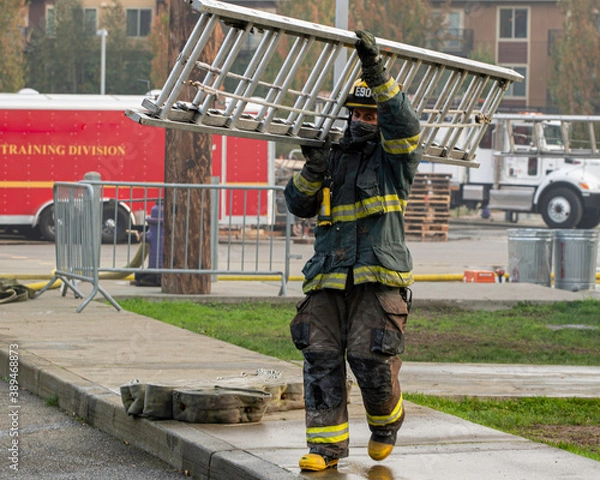 Obraz Firefighter with ladder