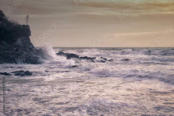 Obraz waves crashing on rocks