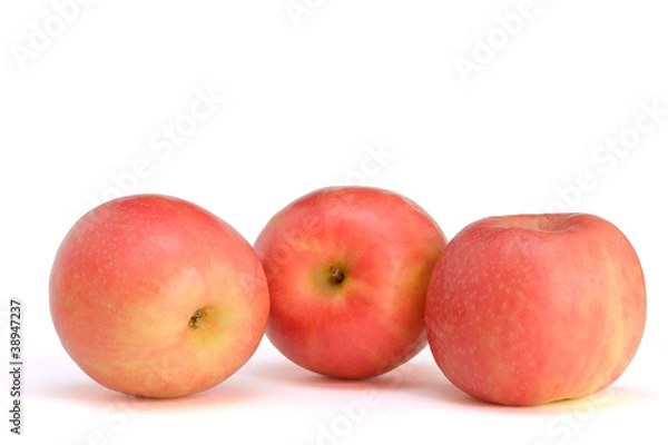 Obraz three apples