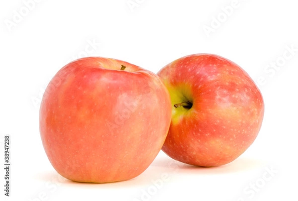 Obraz Two apples Pink Lady
