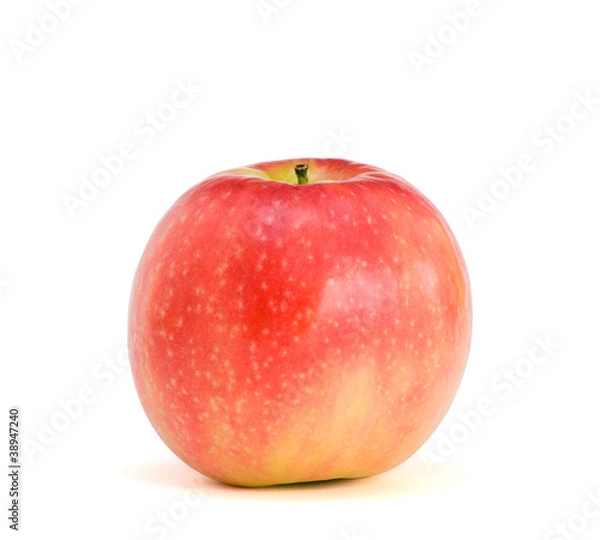 Obraz Lonely apple Pink Lady