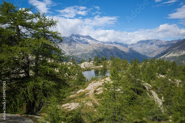 Obraz park state country