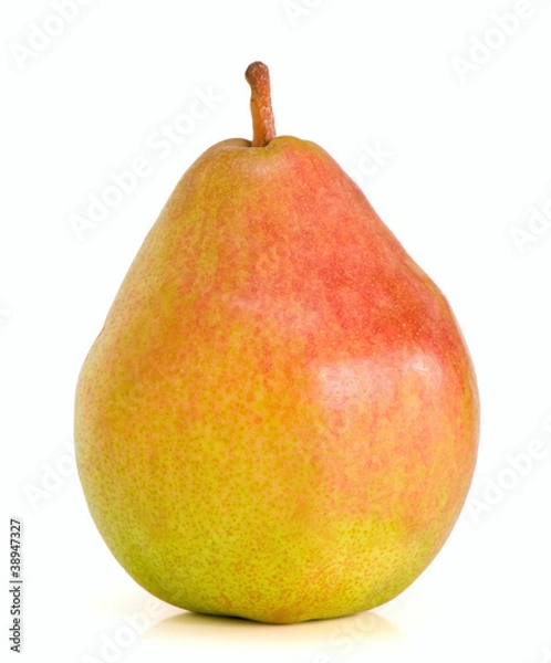 Obraz lonely Belgian pear