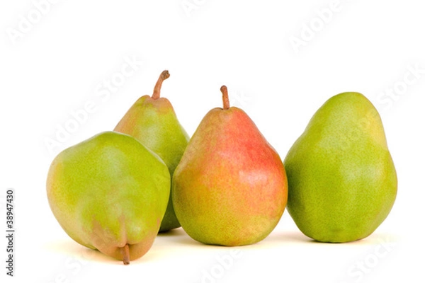 Obraz Four Belgian pears