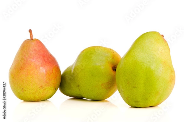 Obraz Three Belgian pears