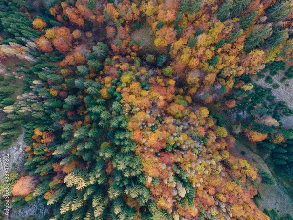 Fototapeta Autumn landscape from above in Pestera county, Romania