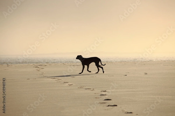 Obraz Paula auf Sylt